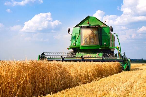 « Surprenant » : les horticulteurs et les agriculteurs sont mieux valorisés